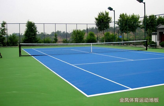 ��ϩ�����