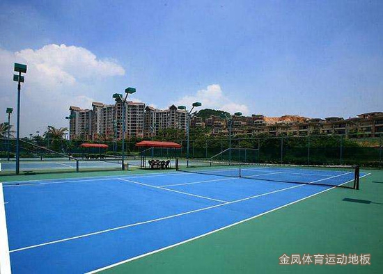 ��ϩ�����